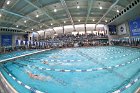 Swimming & Diving vs Babson  Swimming & Diving vs Babson College. - Photo by Keith Nordstrom : Wheaton, Swimming